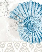 By the Sea 3 Framed Print