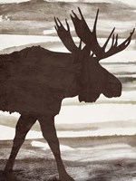 Moose 1 Framed Print