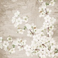 Blossoms Fine Art Print