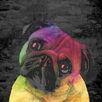 Pug Fine Art Print