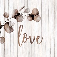 Love Branch Framed Print