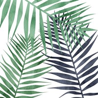 Shades 1 Fine Art Print