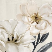 Spring Blooms Fine Art Print