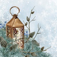 Winter Owl 2 Fine Art Print