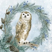 Winter Owl 3 Framed Print
