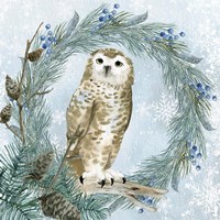 Winter Owl 3 Fine Art Print