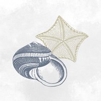 As Free 5 Fine Art Print