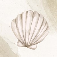 Calming Shell 2 Framed Print