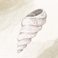 Calming Shell 3 Framed Print