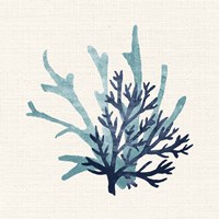 Coral Shades 1 Fine Art Print