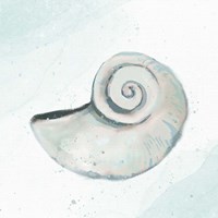 Seashore Shell 1 Fine Art Print