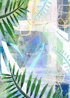 Sundown Shadow Fine Art Print