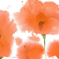 Red Orange Poppies Fine Art Print