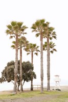 Mediterranean Mirage Fine Art Print