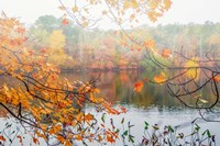 Autumn Pond Fine Art Print