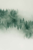 Emerald Forest No. 2 Fine Art Print