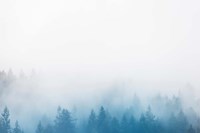 Enchanted Forest No. 2 Fine Art Print