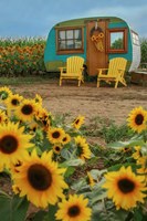 Vintage Camper and Sunflowers 1 Fine Art Print