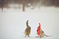 Weathered Feathered Friends Fine Art Print