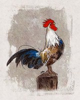 Cock-a-doodle-do Fine Art Print