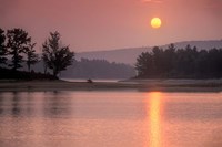 Morning Shimmer Fine Art Print