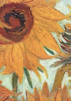 Vase with Twelve Sunflowers, .c1888 (detail) Fine Art Print