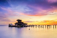 Bones of Lake Pontchartrain Fine Art Print