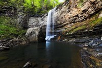 Spring at Hemlock Falls Fine Art Print