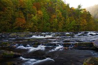 Autumn on the Tellico River Fine Art Print