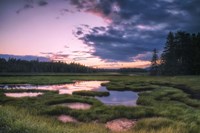 Sunset at Bass Harbor Marsh Fine Art Print