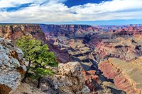 Standing on Navajo Point-Grand Canyon National Park Fine Art Print