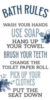 Bath Rules Fine Art Print
