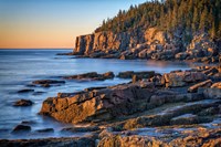 Morning Light on Otter Cliff Fine Art Print