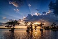 Sunset on Lake Martin Fine Art Print