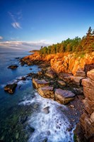 Spring Morning in Acadia Fine Art Print