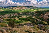 Oxbow Overlook Fine Art Print