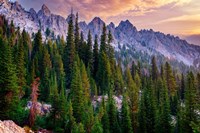 Morning in the Sawtooths Fine Art Print