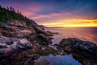 Morning Glow from Otter Cliff Fine Art Print