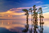 Dusk on Lake Maurepas Framed Print