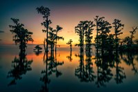 Dawn on Lake Maurepas Fine Art Print