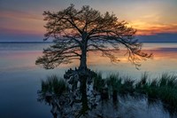 Dusk on Currituck Sound Fine Art Print