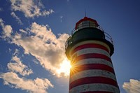 Shining Through at West Quoddy Head Fine Art Print