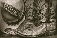 Cowboy Boots VII Fine Art Print