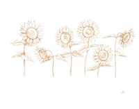 Sunshine Seeds III Fine Art Print
