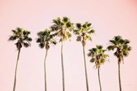 Summer V Pink Fine Art Print