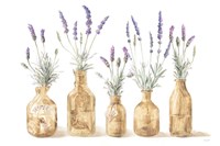 Lavender in Amber Glass Fine Art Print