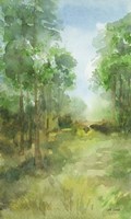 Woodland Path Fine Art Print