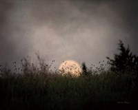 The Prairie Moon Fine Art Print