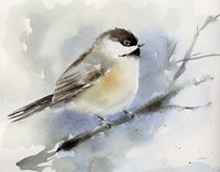 Winter Chickadee Fine Art Print