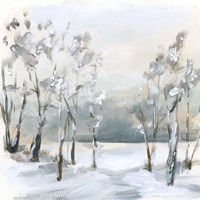 Snowy Winter Trees Fine Art Print